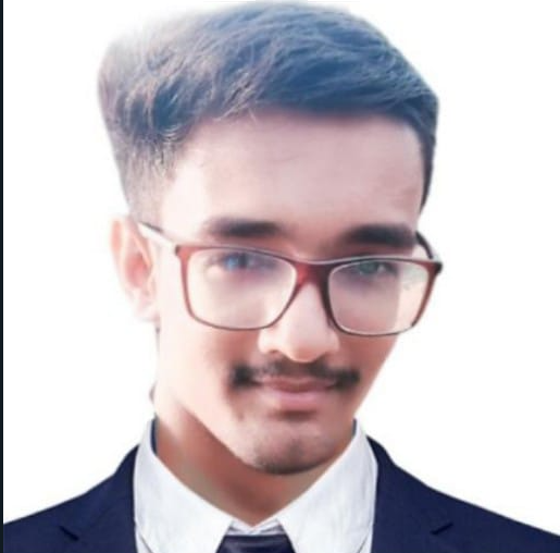 Biochar pieces: Revealing porous texture and carbon-rich composition, ideal for enhancing soil in agriculture